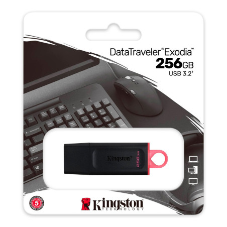 USB MEMORY DRIVE 256GB USB3.2 KINGSTON (DTX/256GB)
